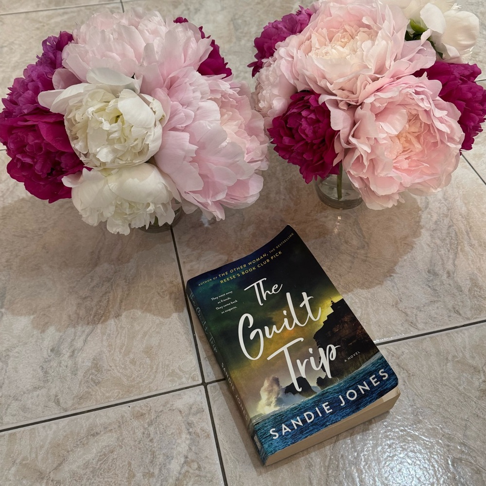 The Guilt Trip by Sandie Jones Paperback Book